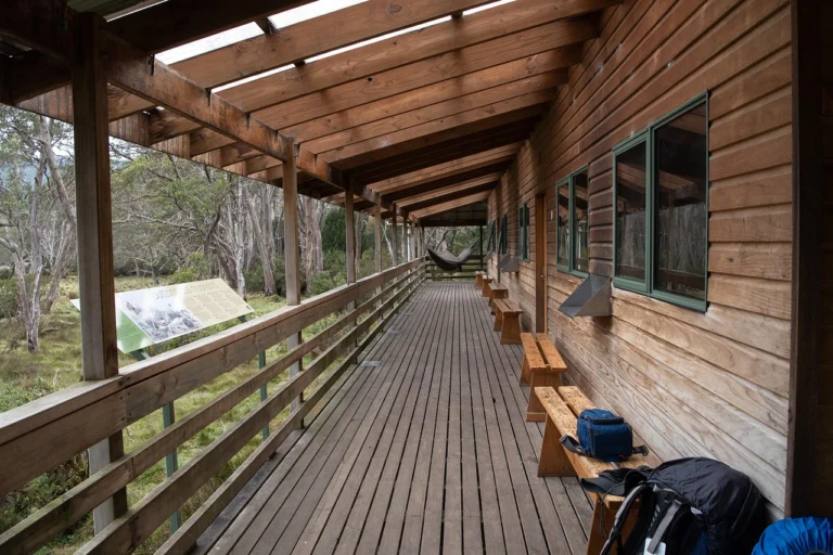 extension maison bois